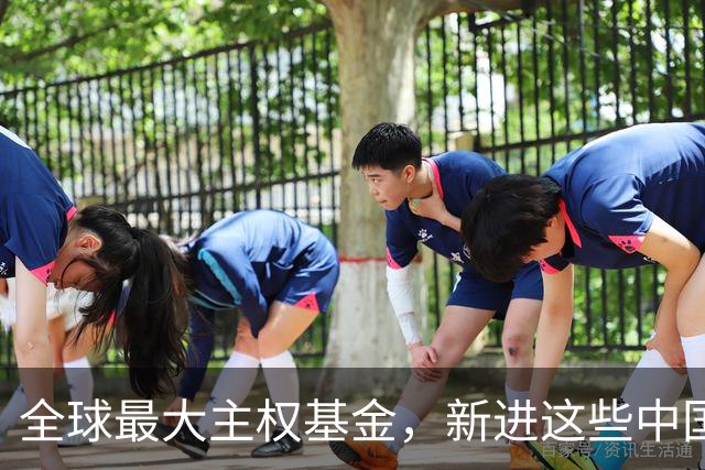 全球最大主权基金，新进这些中国股票！