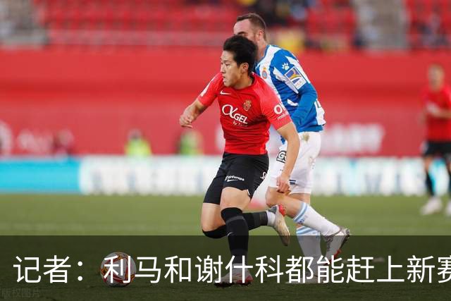 记者：利马和谢什科都能赶上新赛季首轮，德利赫特将缺席初段