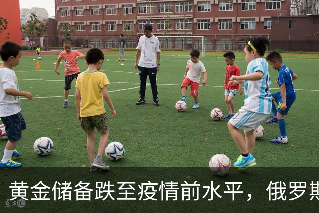 黄金储备跌至疫情前水平，俄罗斯正在动用多年积累的财政“安全垫”