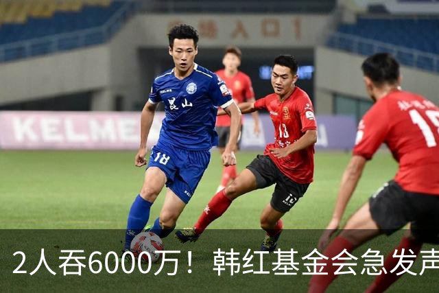 2人吞6000万！韩红基金会急发声，1800万差价说不清，官方已下场